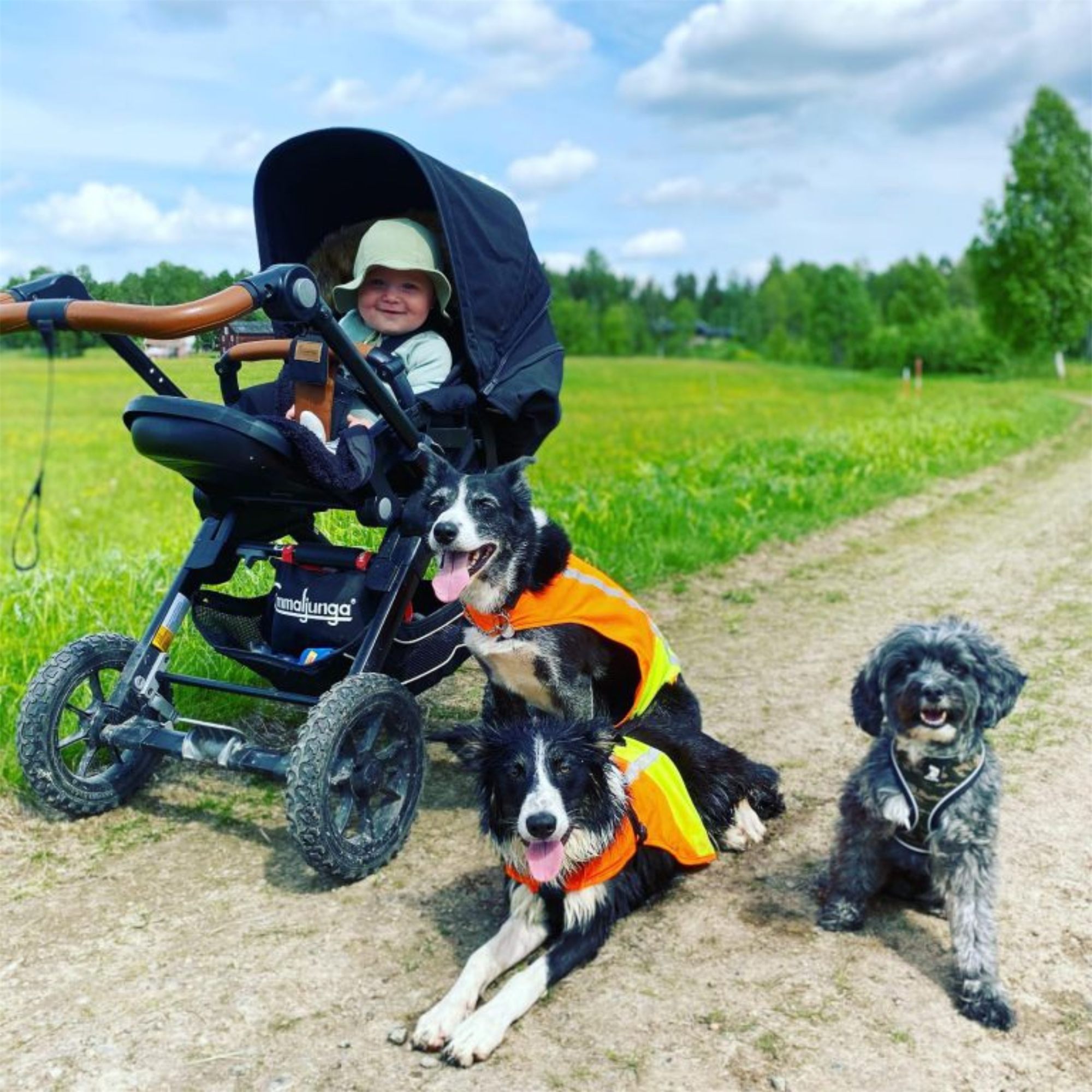 Hund tillsammans med barnvagn utomhus